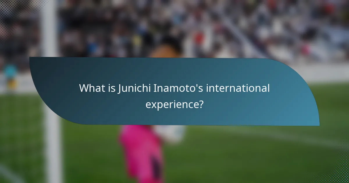 What is Junichi Inamoto's international experience?